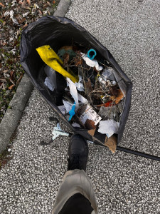 Photo de galerie - Entretien des espaces verts 