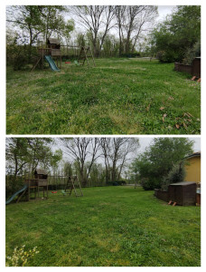 Photo de galerie - Première tonte entretien régulier 