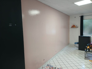 Photo de galerie - Peinture d'un mur 