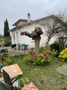 Photo de galerie - Elagage et coupe d'arbres