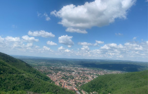 Photo de galerie - Aide à domicile, aide ou livraisons courses, transport médecin…