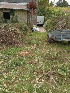 Photo de galerie - Taille de haies et d'arbustes