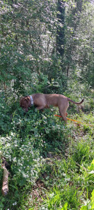 Photo de galerie - Pensionnaires chez osmose feeling 