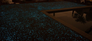 Photo de galerie - Pose de parquet - Revêtement de sol