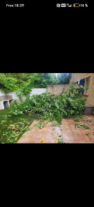 Photo de galerie - Voici une réalisation effectuée aujourd’hui ?✂️
➡️ Avant : arbre/branches très encombrants, tombés dans le jardin et occupant une grande partie de la terrasse.
➡️ Après : arbre entièrement taillé et débarrassé, branches coupées