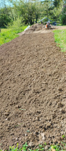 Photo de galerie - Après passage motobineuse 