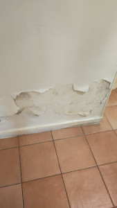 Photo de galerie - Mur