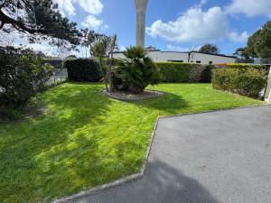 Photo de galerie - Tonte de pelouse et débroussaillage 