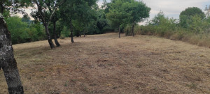 Photo de galerie - .