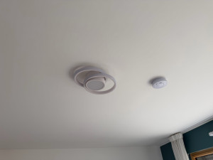 Photo de galerie - Des globes 