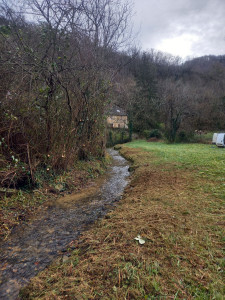 Photo de galerie - Tonte de pelouse - Débroussaillage