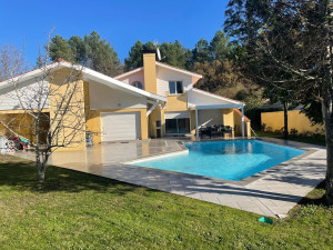 Photo de galerie - Entretien piscine et jardin