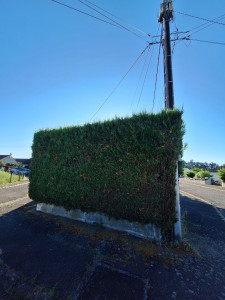 Photo de galerie - Avant 