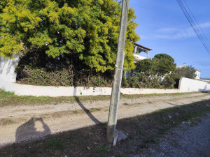 Photo de galerie - ?