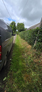 Photo de galerie - Taille de haie divers 