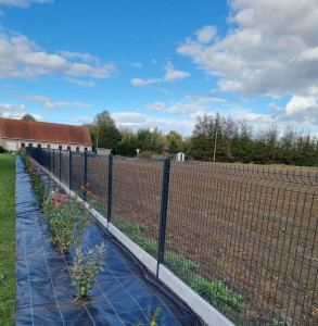Photo de galerie - Création d'une haie champêtre et fleurie