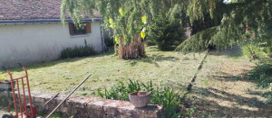 Photo de galerie - Tonte de pelouse - Débroussaillage