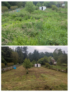 Photo de galerie - Débroussaillage avec remise à plat du terrain chez un client afin de lui redonner son autonomie avec une tondeuse pour le reste de la saison.