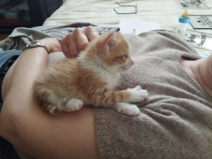 Photo de galerie - L'adorable petit Arsène que j'aurais bien gardé plus longtemps encore...
