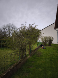 Photo de galerie - Jardinier