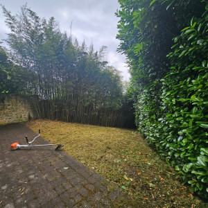 Photo de galerie - Débroussaillage Apres 