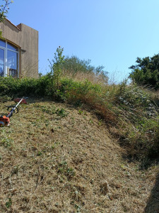 Photo de galerie - Gros debrousaillage