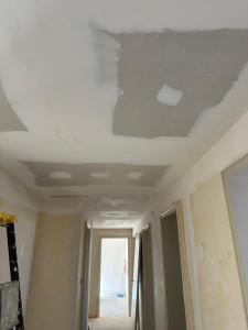 Photo de galerie -     Finition plafond et murs”