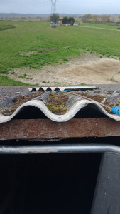 Photo de galerie - Pose d'une everite  sur hangars 