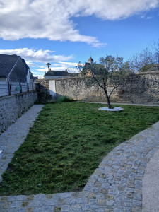 Photo de galerie - Tonte de pelouse - Débroussaillage