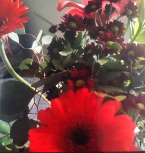 Photo de galerie - Ménage à domicile 