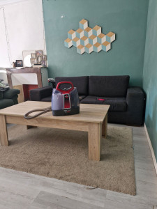 Photo de galerie - Nettoyage textile (tapis, moquette, canapés, matelas ...)