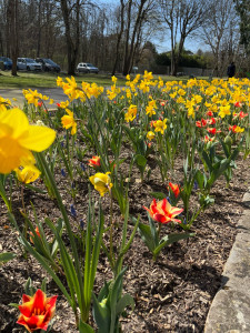 Photo de galerie - Petite sortie pour prendre l’air