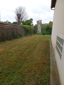 Photo de galerie - Tonte de pelouse - Débroussaillage