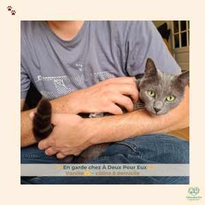 Photo de galerie - Câlins avec Vanille