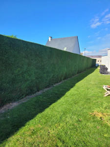 Photo de galerie - Paysagiste - Aménagement du jardin