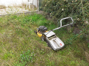 Photo de galerie - Tonte pelouse 