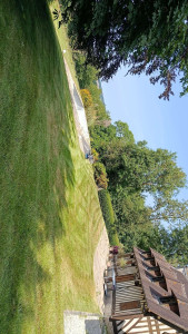 Photo de galerie - Tonte de pelouse 