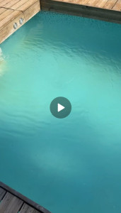 Photo de galerie - Entretien piscine