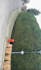 Photo de galerie - Taille dune grande haie 