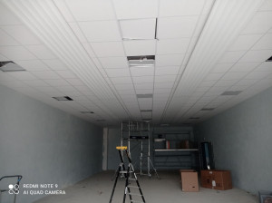 Photo de galerie - Plafond suspendu 