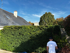 Photo de galerie - Taille de haie 