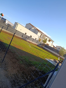 Photo de galerie - Suite du terrain avec le gazon qui commence à pousser 10 jours après.