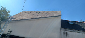 Photo de galerie - Démoussage + application antimousse (après) 