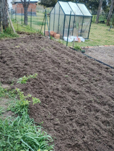 Photo de galerie - Nettoyage de potager 