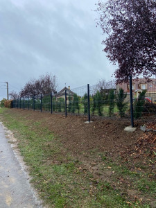 Photo de galerie - Pose de panneaux rigides avec plantation de cyprès 
