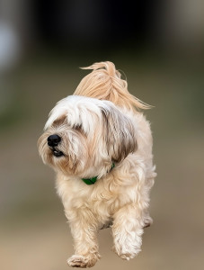 Photo de galerie - ❤️CHOUPETTE❤️