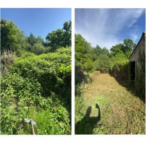 Photo de galerie - Avant/ après d’une ronce de 60m2 