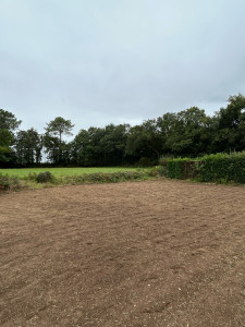 Photo de galerie - Paysagiste - Aménagement du jardin