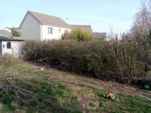 Photo de galerie - Taille de haies et d'arbustes