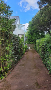 Photo de galerie - Remise en état entrée allée de maison, taille arbustes, ramassage épine, soufflage.